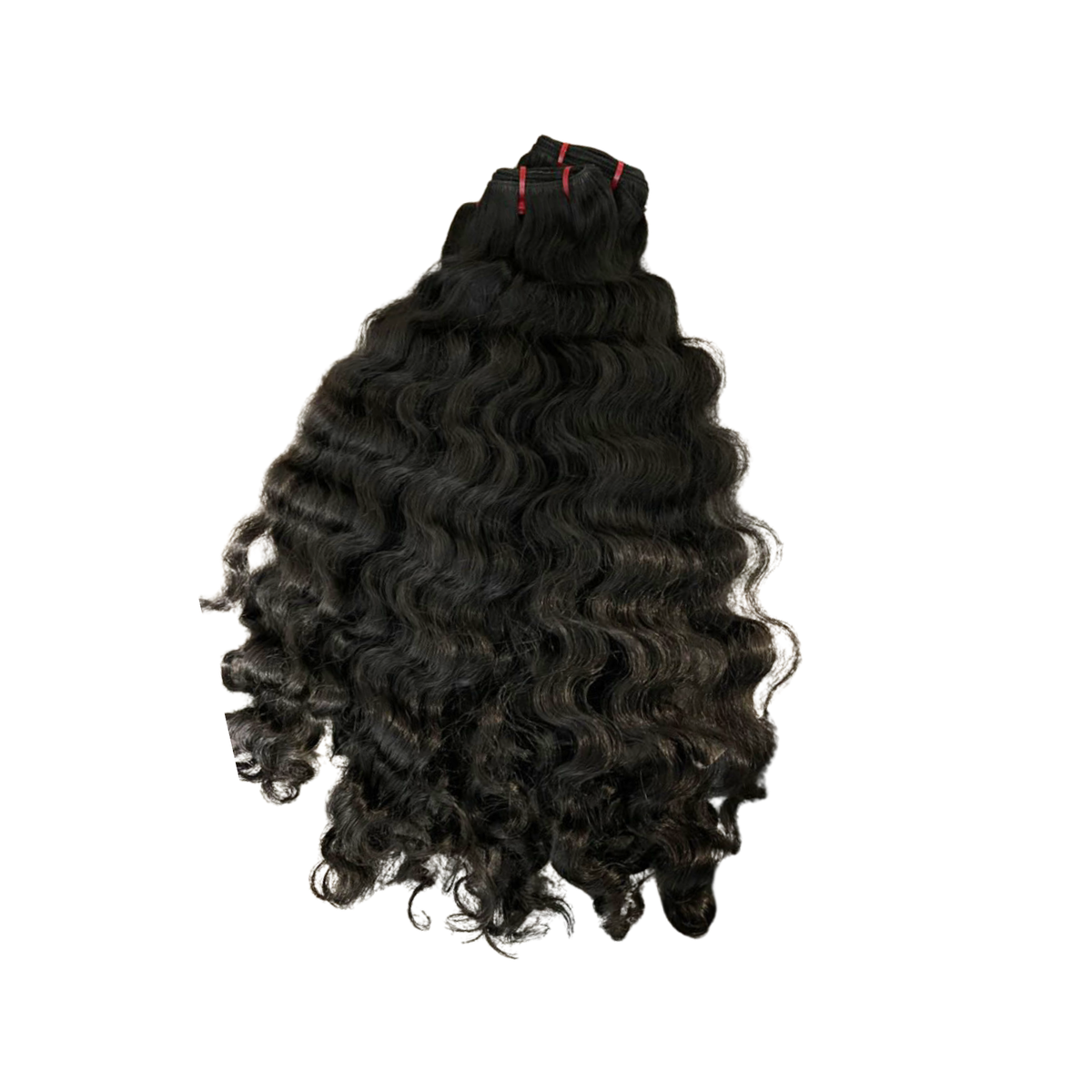 Raw Indian curly (bundle deal)